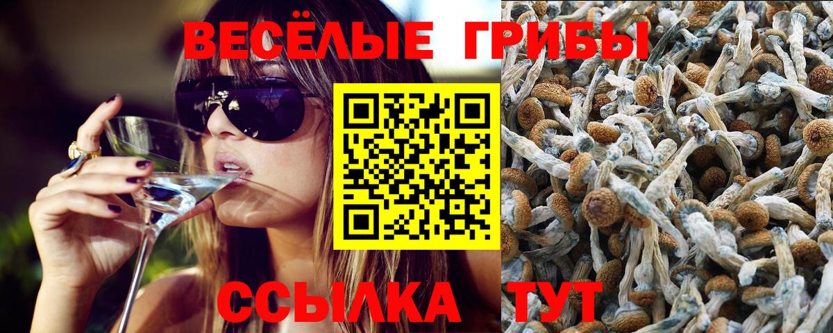 магазин продажи наркотиков  Вход с VPN  Борзя  Псилоцибиновые грибы ЛСД 