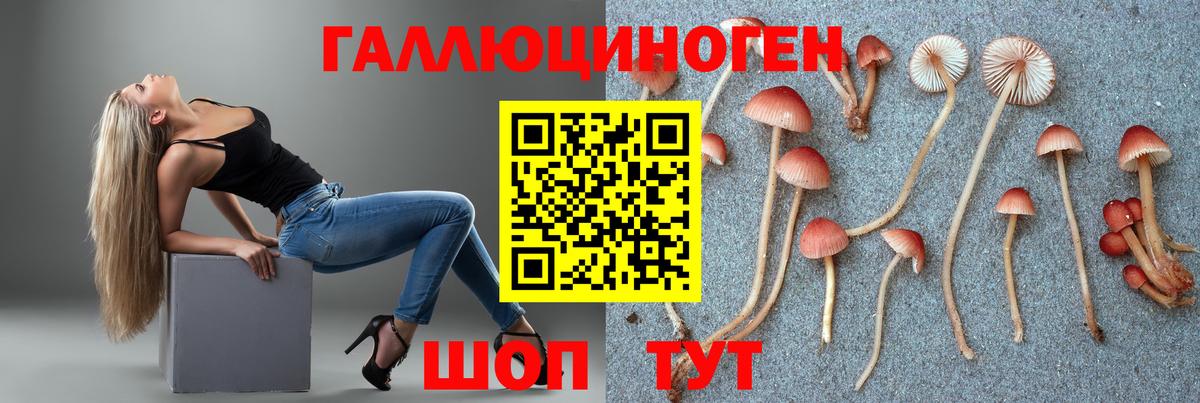 Галлюциногенные грибы мухоморы Борзя
